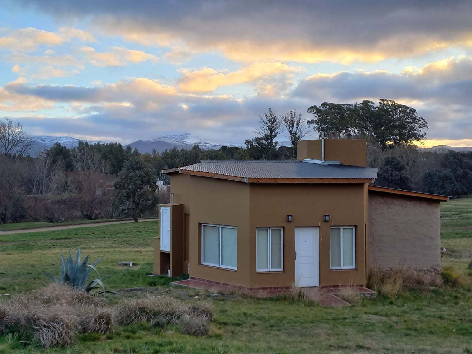 Proyecto Bio Arquitectura