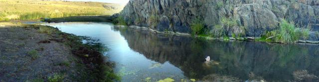 Arroyo de aguas claras en la sierra